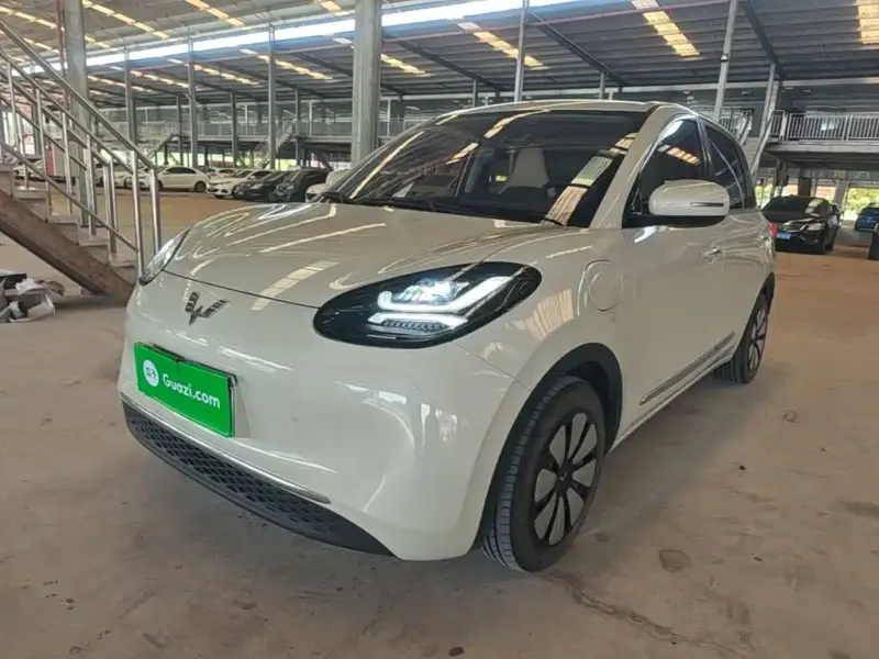 Wuling Bingo, 2024