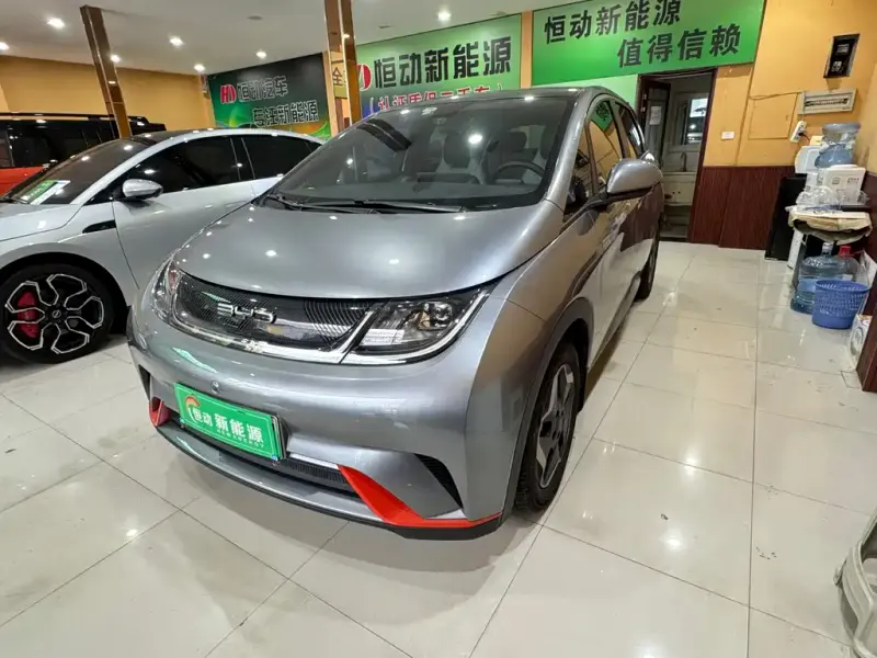 BYD Dolphin, 2022