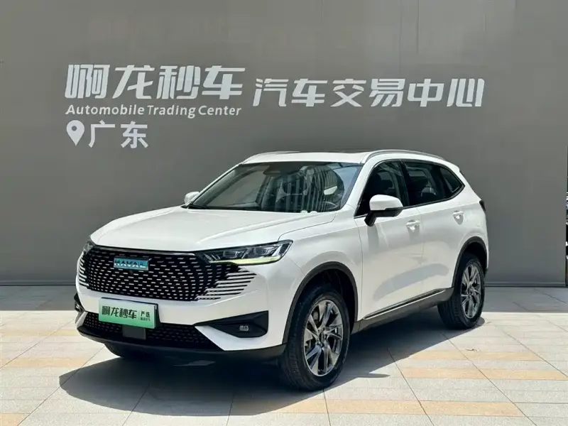 Haval H6 New Energy, 2023