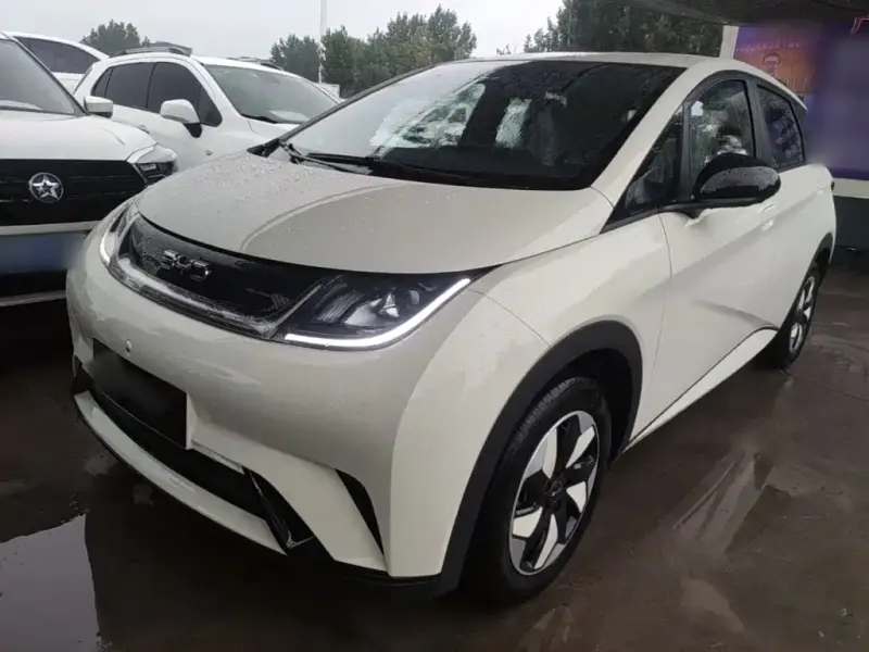 BYD Dolphin, 2026