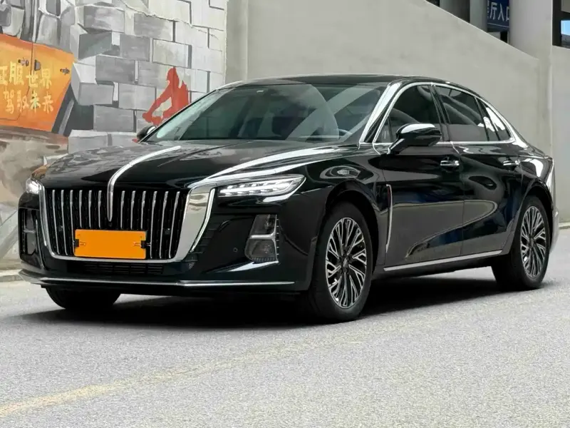 Hongqi H5, 2024
