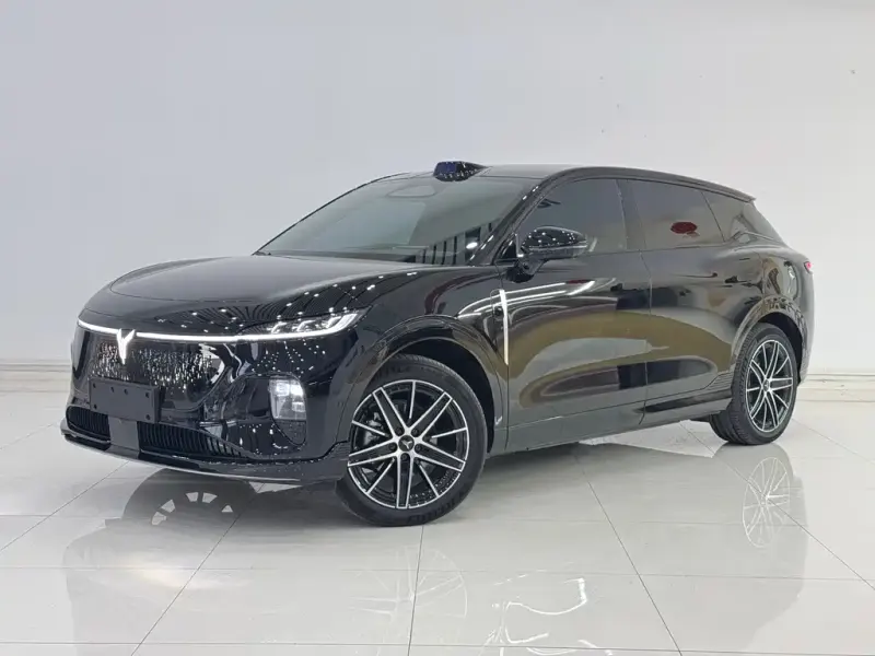 VOYAH Zhiyin, 2025