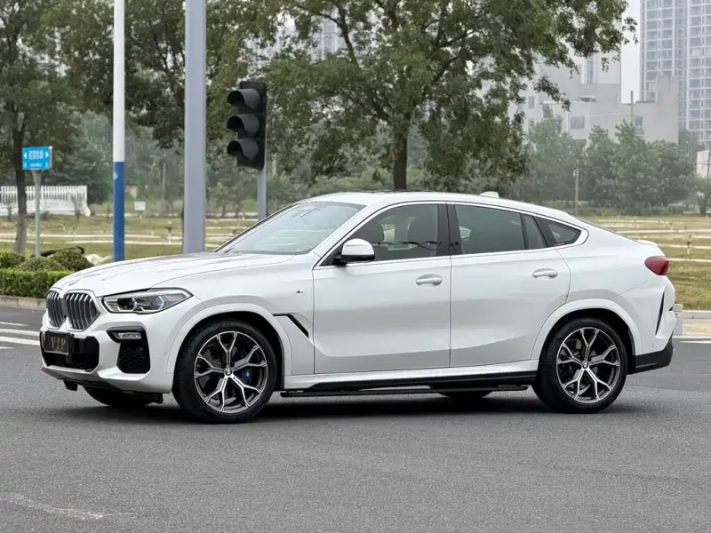 BMW X6, 2020