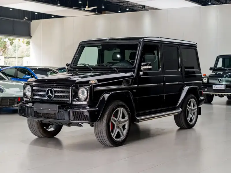 Mercedes-Benz G-Class, 2010