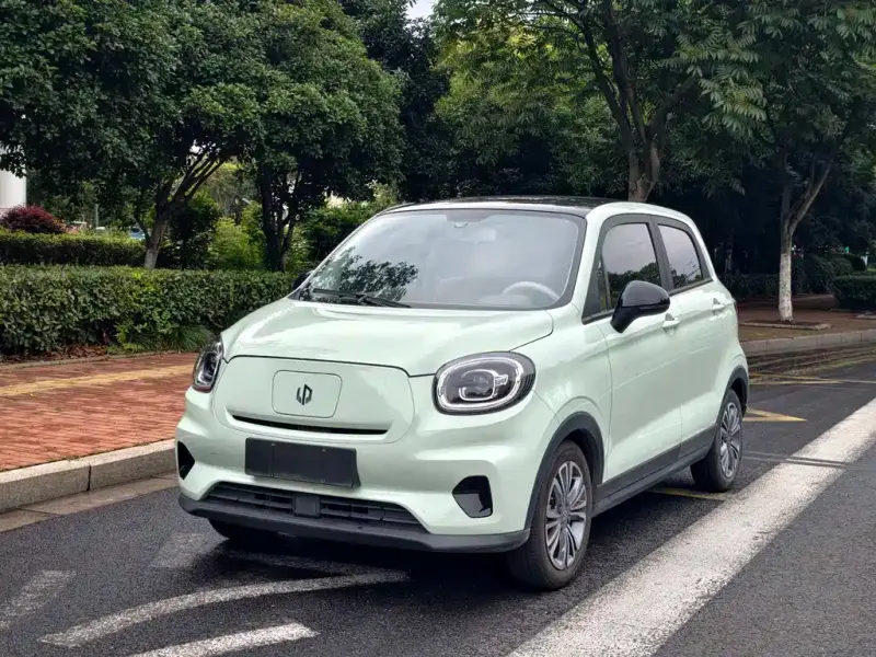 Leapmotor T03, 2024