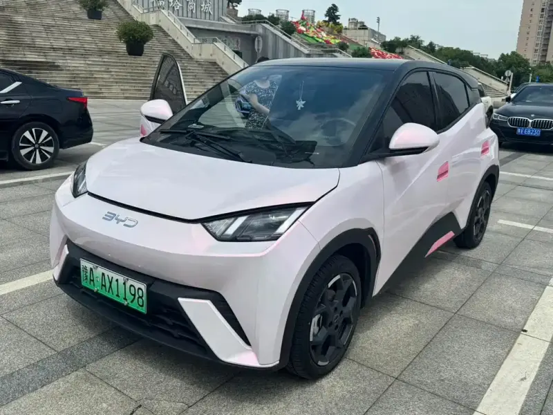 BYD Seagull, 2024