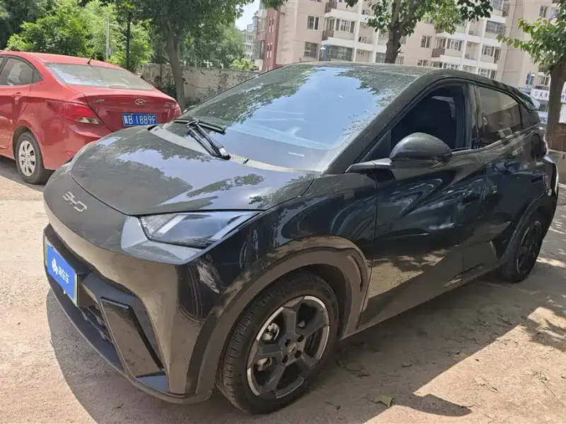 BYD Seagull, 2023