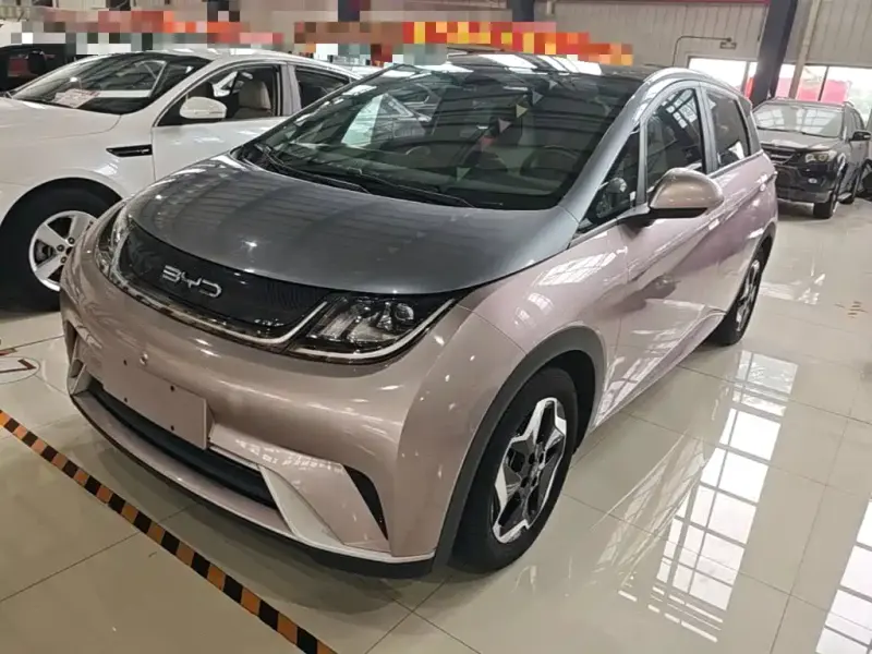 BYD Dolphin, 2022