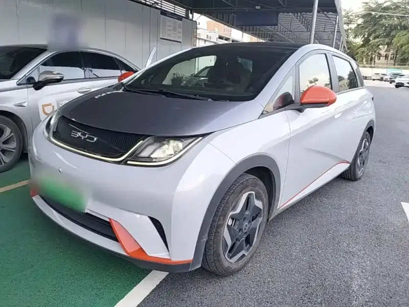 BYD Dolphin, 2021