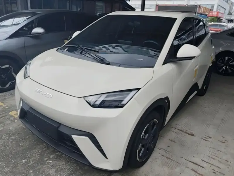 BYD Seagull, 2024