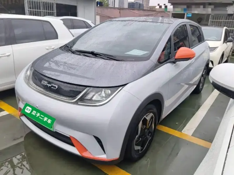 BYD Dolphin, 2022