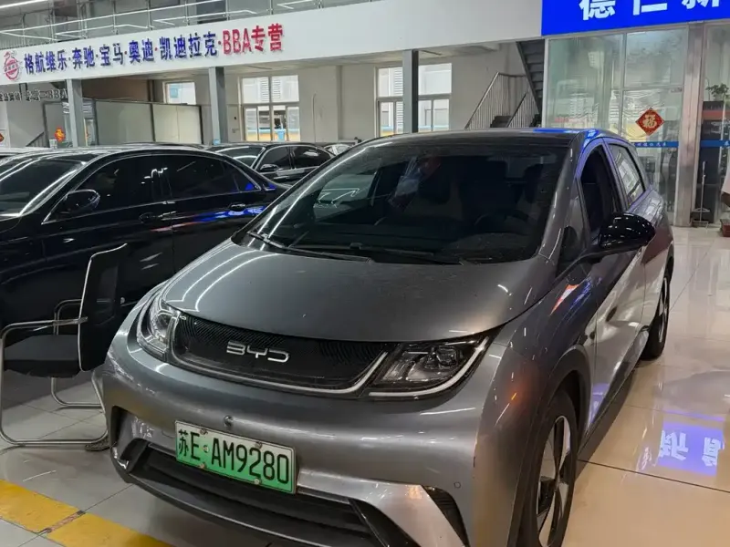 BYD Dolphin, 2023