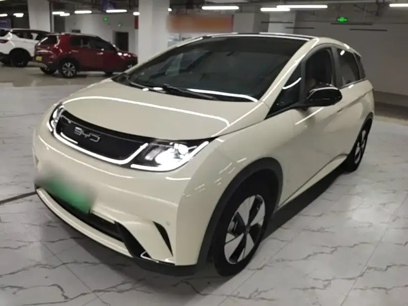 BYD Dolphin, 2024