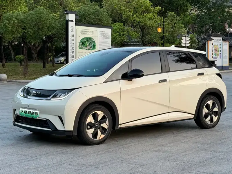 BYD Dolphin, 2024