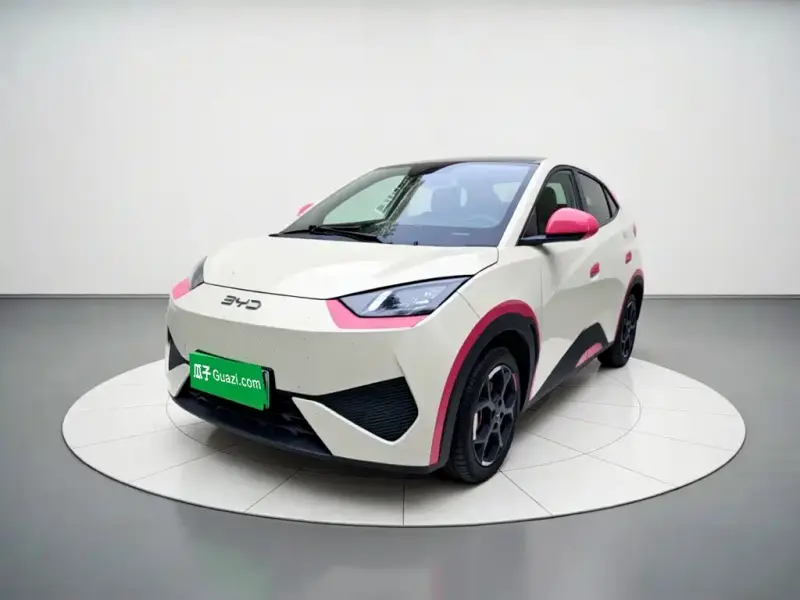 BYD Seagull, 2025