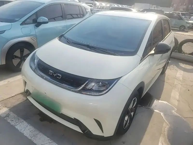 BYD Dolphin, 2024