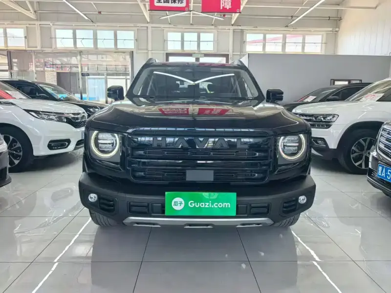 Haval Big Dog, 2024