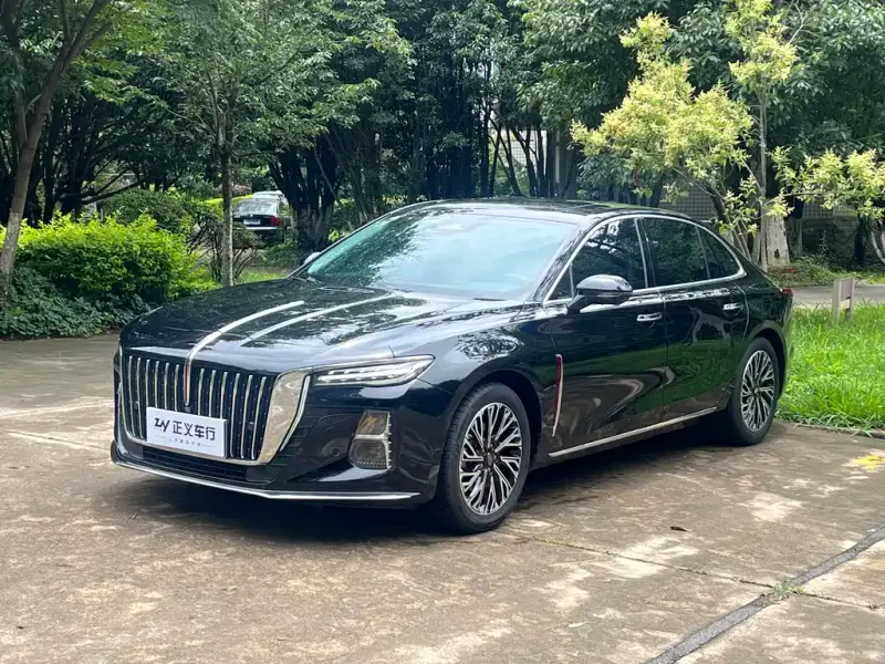 Hongqi H5, 2024