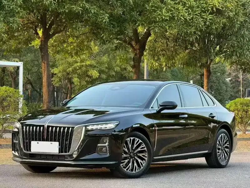 Hongqi H5, 2024