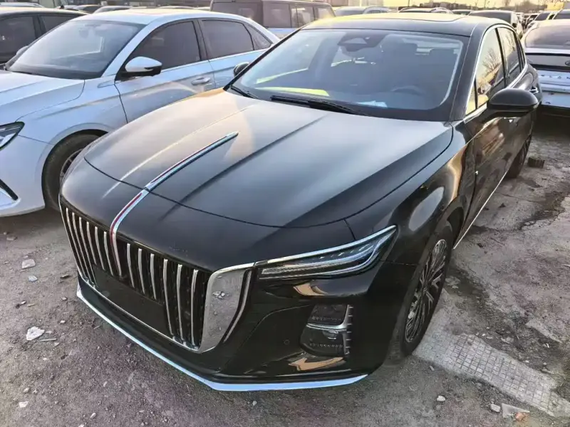 Hongqi H5, 2024