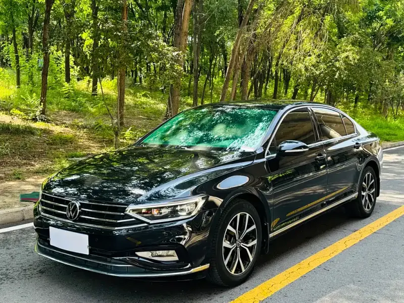 Volkswagen Magotan, 2021