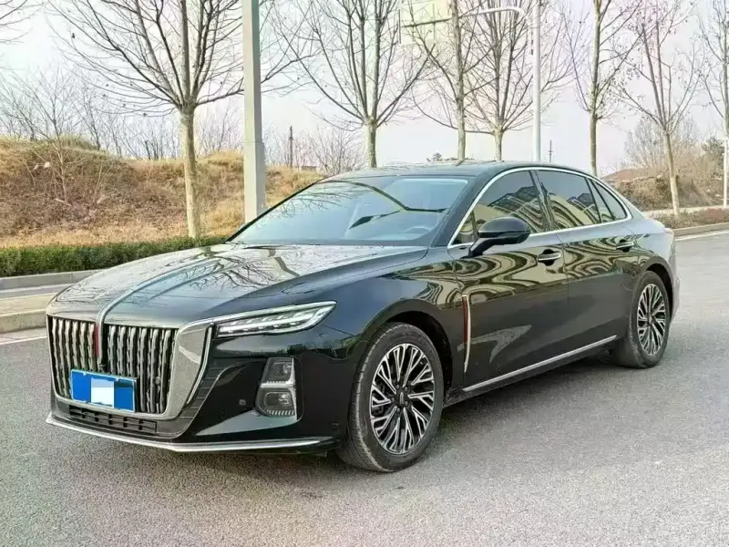 Hongqi H5, 2024