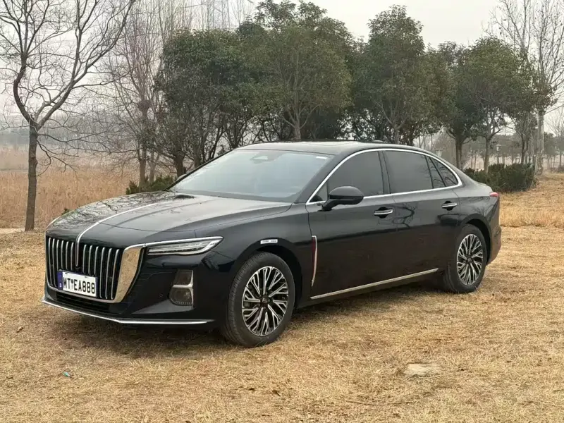 Hongqi H5, 2025