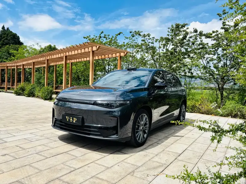 Leapmotor C10, 2024