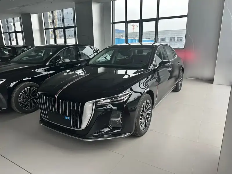Hongqi H5, 2025