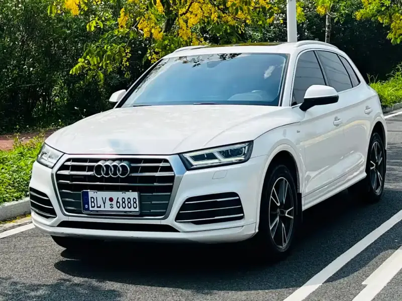 Audi Q5L, 2019