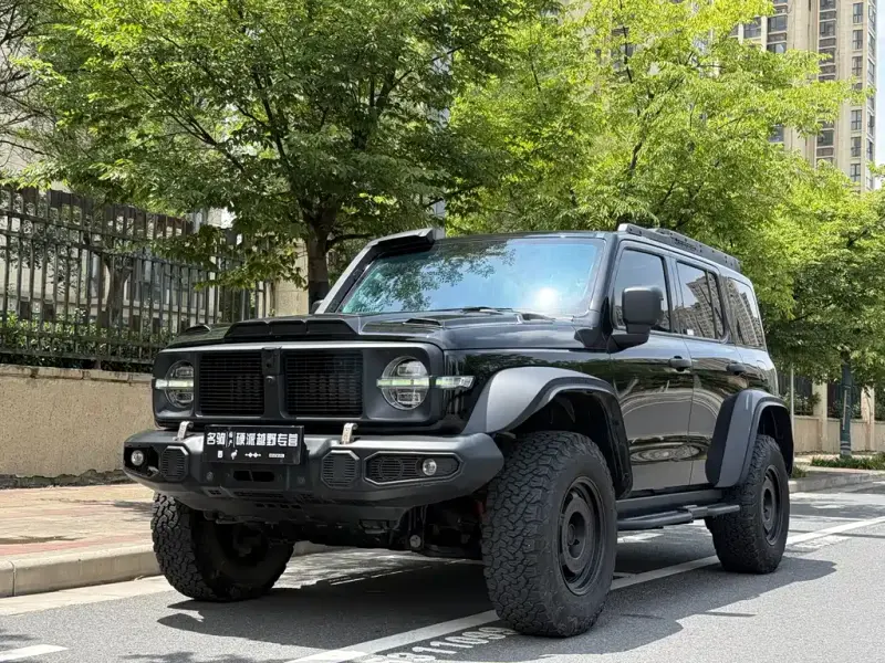Tank 300, 2024
