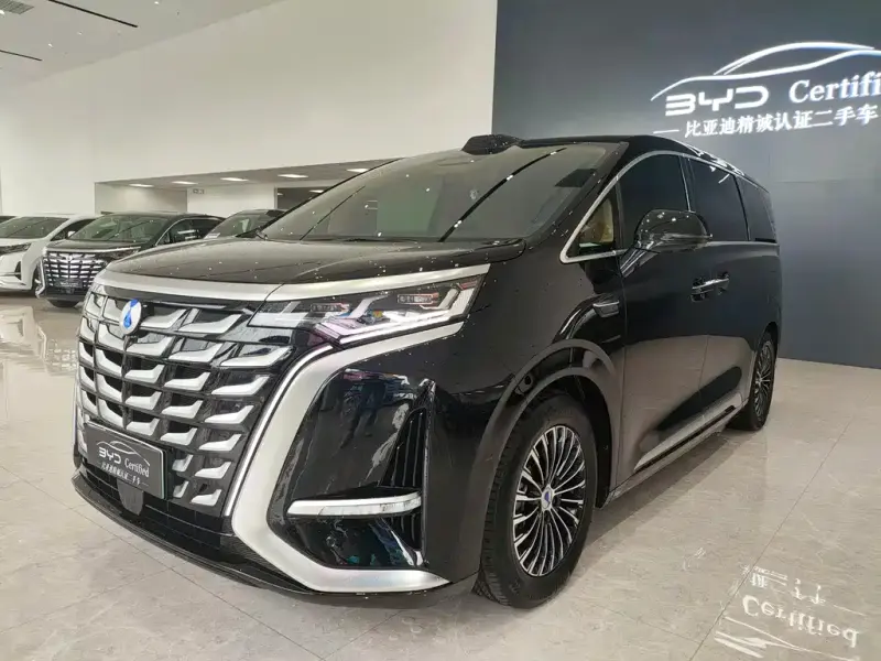 Denza D9, 2025