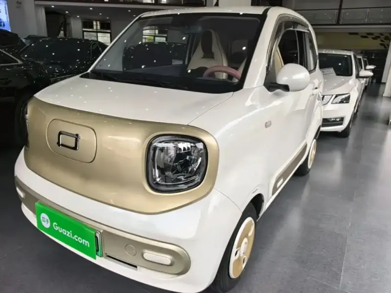Bestune Pony, 2024