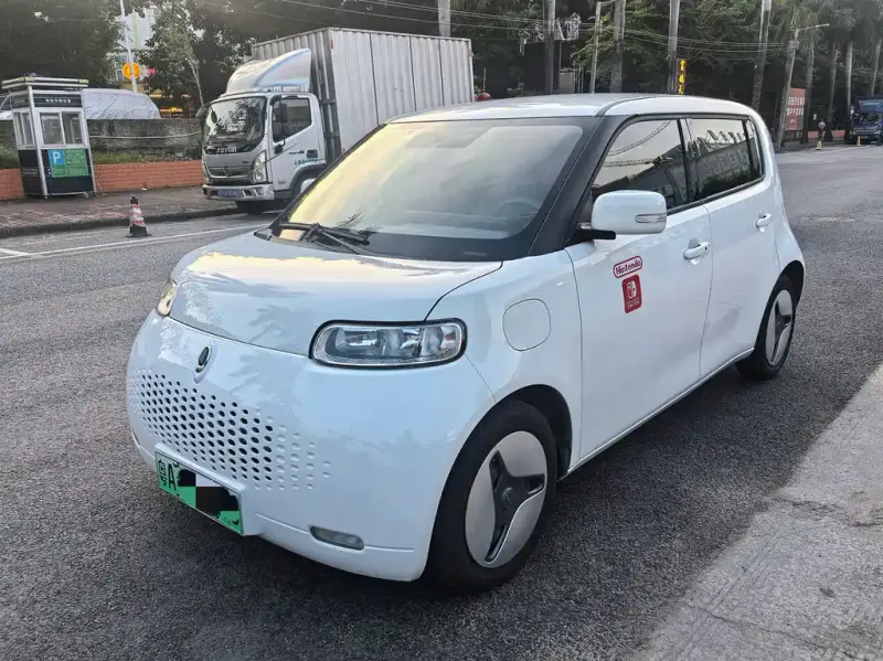 Ora White Cat, 2021