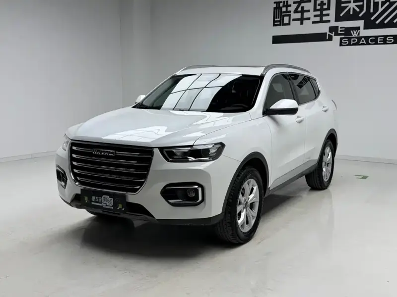 Haval H6, 2020