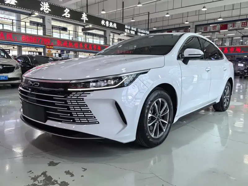 BYD Destroyer 05, 2024
