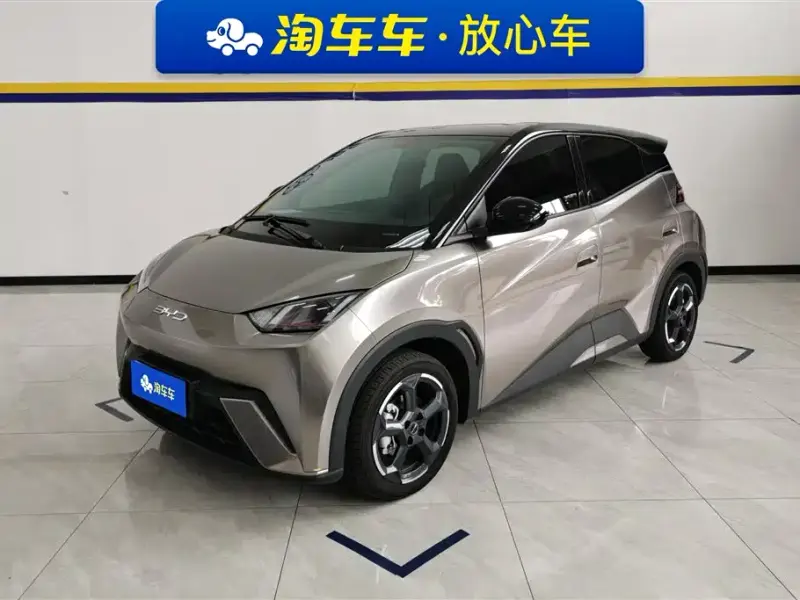 BYD Seagull, 2024