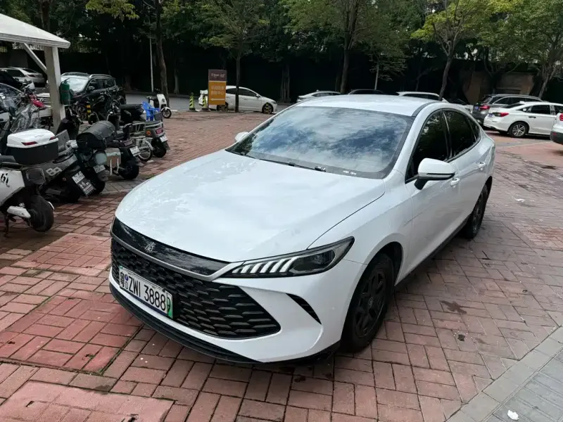BYD Qin PLUS, 2025