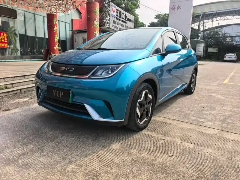 BYD Dolphin, 2022