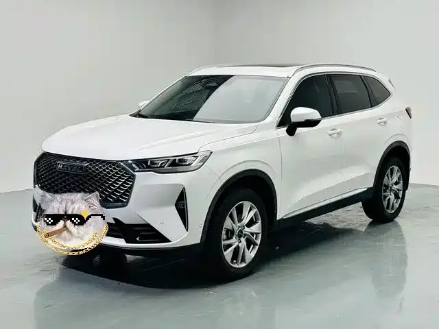 Haval H6, 2021