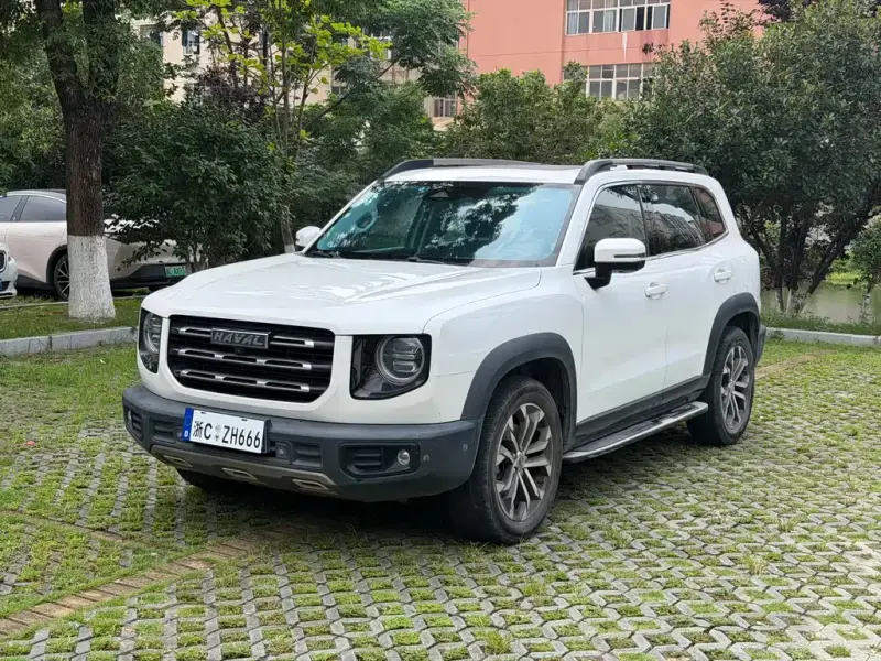 Haval Big Dog, 2020