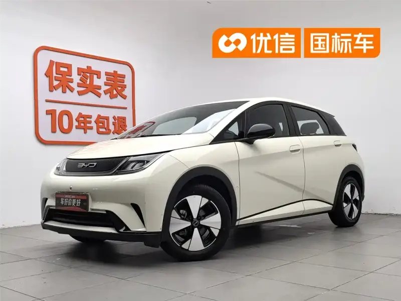 BYD Dolphin, 2024
