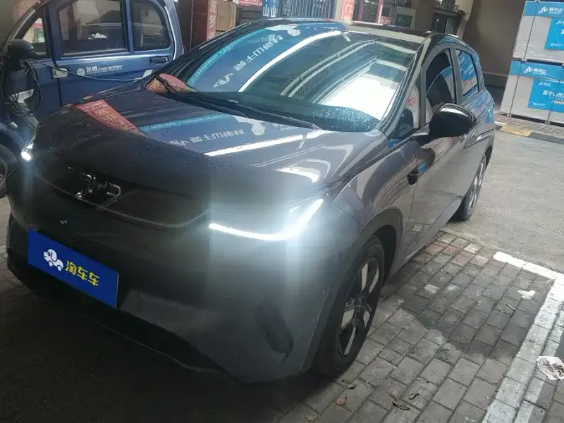 BYD Dolphin, 2025