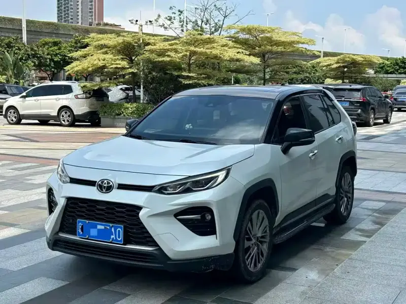 Toyota Wildlander, 2020