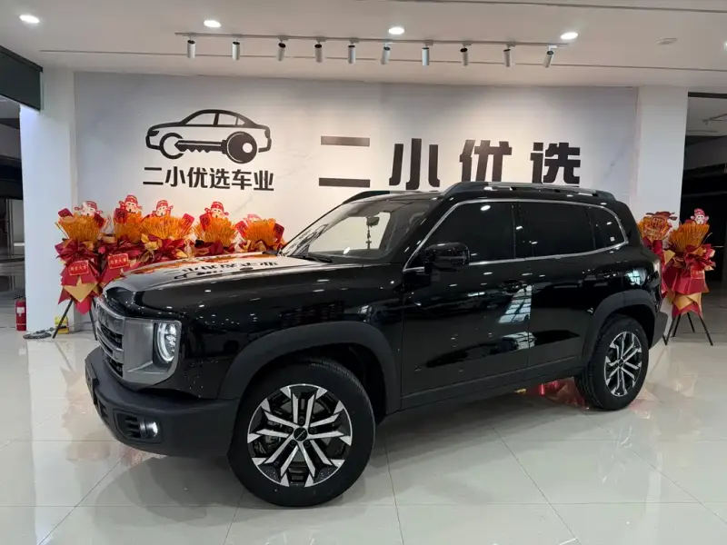 Haval Big Dog, 2025