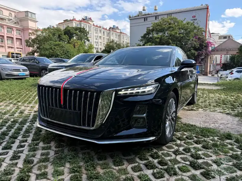 Hongqi H5, 2024
