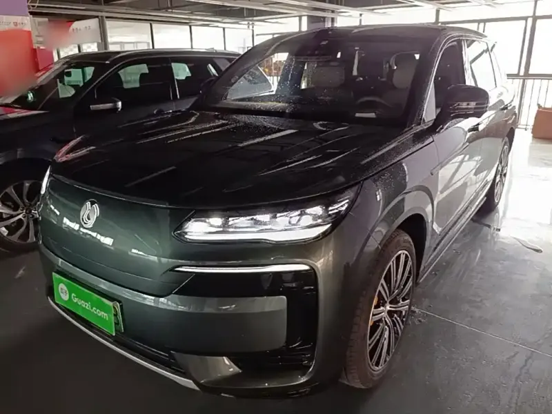 Denza N9, 2025