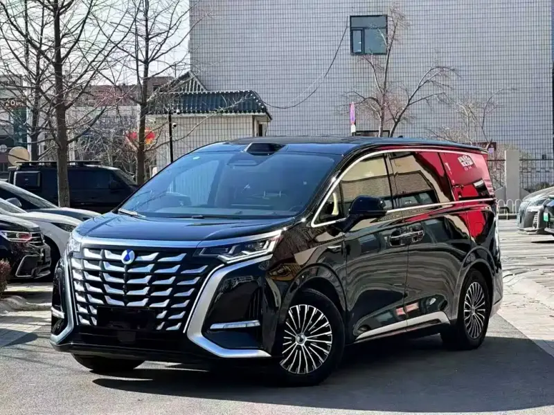 Denza D9, 2024