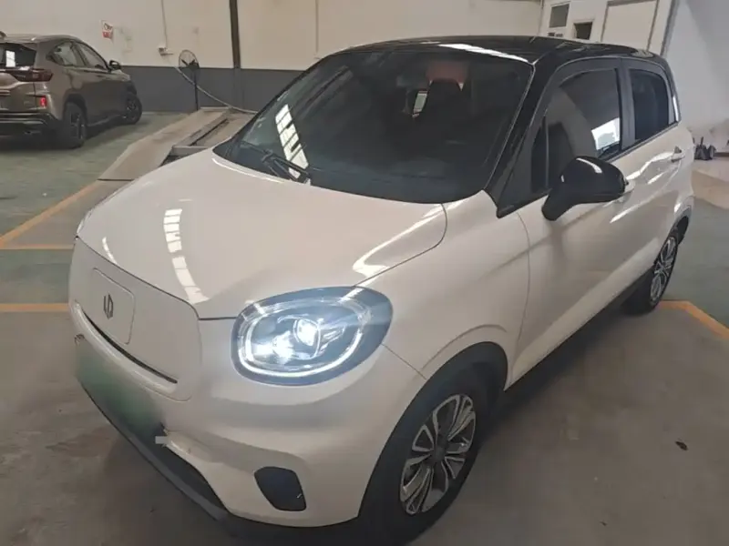 Leapmotor T03, 2021
