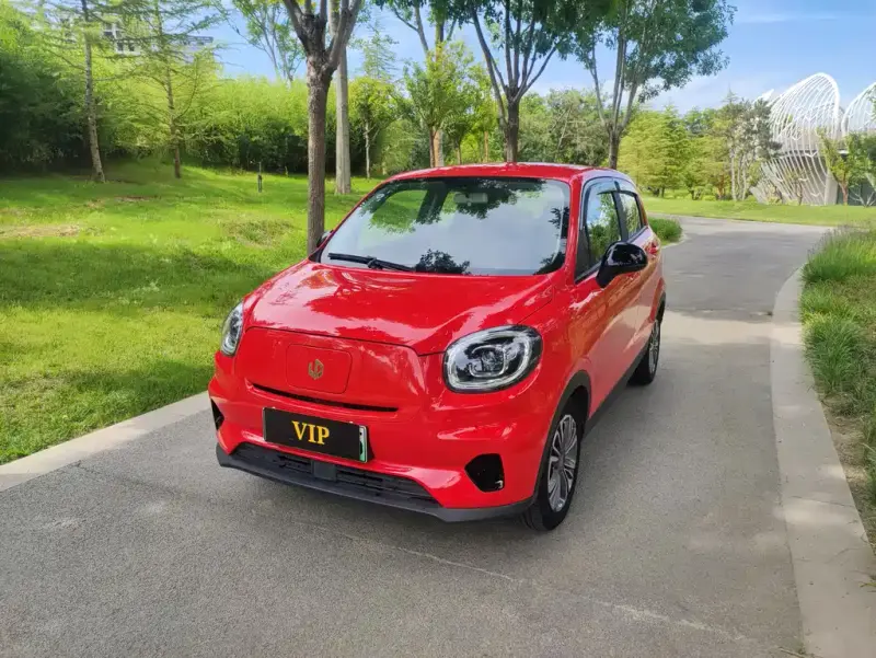 Leapmotor T03, 2021